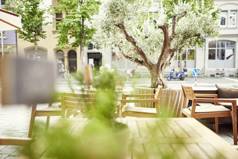 Sonnenterrasse mit Olivenbaum – Restaurant mit Terrasse in Konstanz